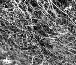 One-Pot Synthesis of Carbon Nanofibers from CO2 (Nano Lett. 2015, 15, 9, 6142–6148
Publication Date: August 3, 2015)