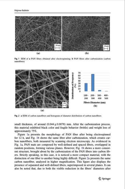 carbon-nanofibers-obtained-from-electrospinning-process-006