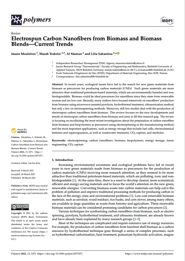 electrospun-carbon-nanofibers-from-biomass-and-biomass-blend-001