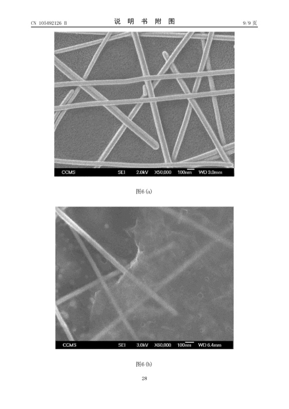 patent-electro-spraying-028