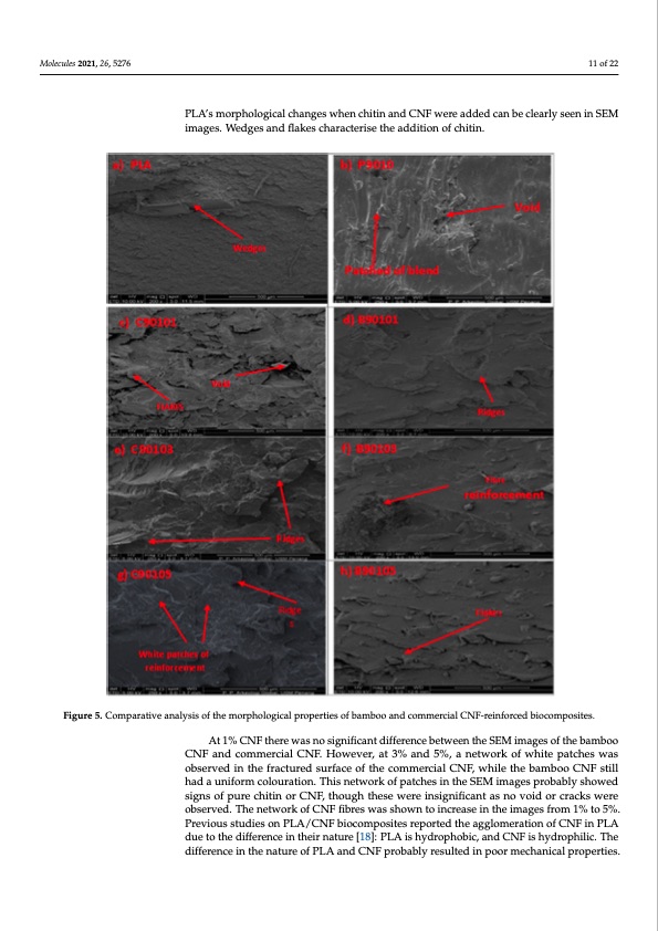supercritical-carbon-dioxide-isolation-cellulose-nanofibre-011