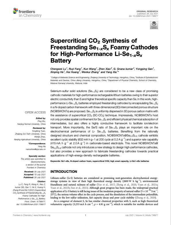 supercritical-co2-synthesis-freestanding-se1-xsx-foamy-catho-001