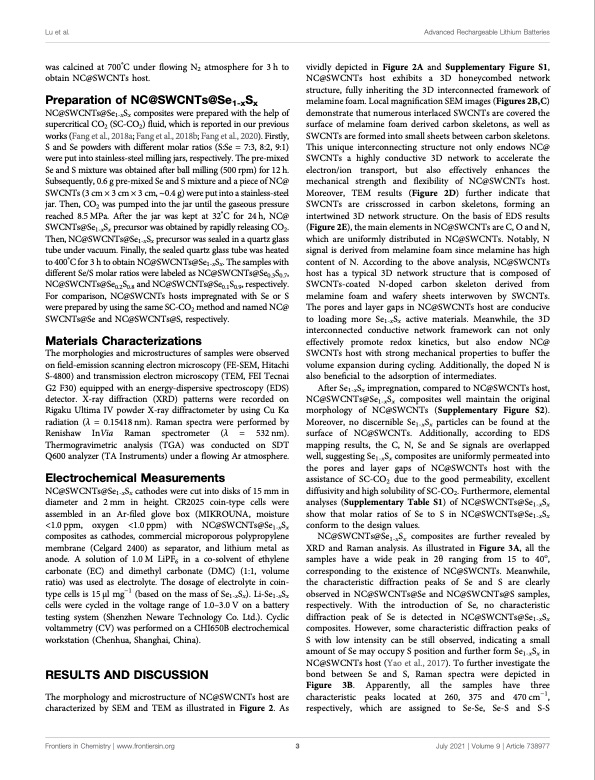 supercritical-co2-synthesis-freestanding-se1-xsx-foamy-catho-003