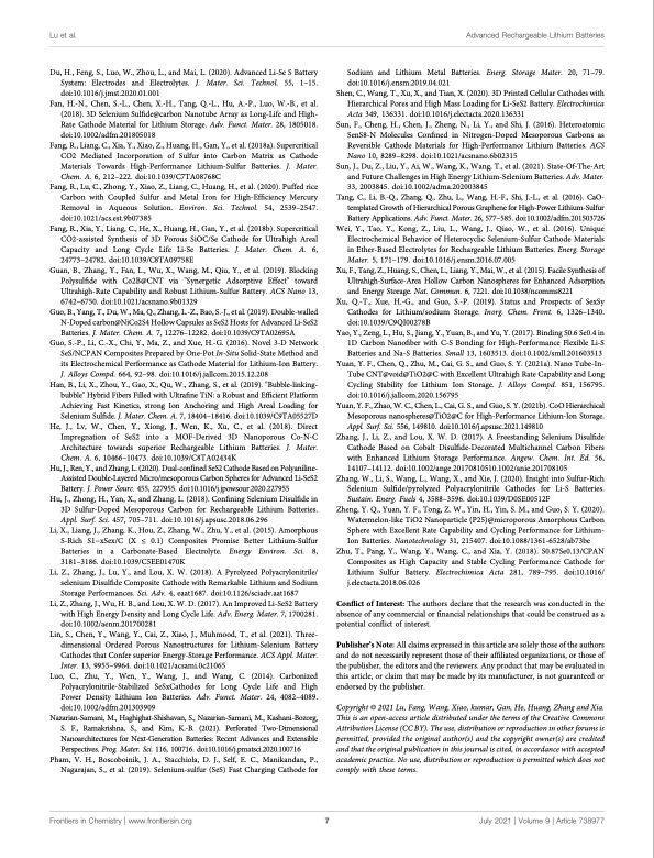 supercritical-co2-synthesis-freestanding-se1-xsx-foamy-catho-007
