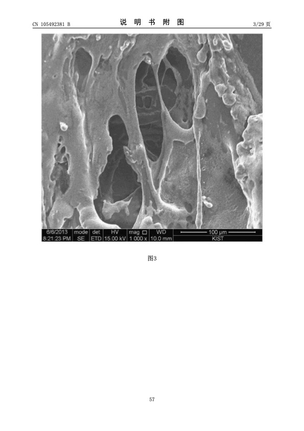 urea-particle-coating-controlled-release-by-using-dcpd-modif-057