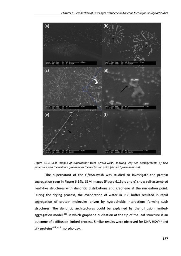 production-and-applications-graphene-and-its-composites-187