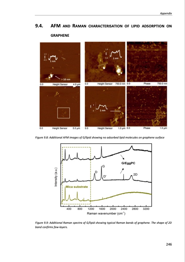 production-and-applications-graphene-and-its-composites-246