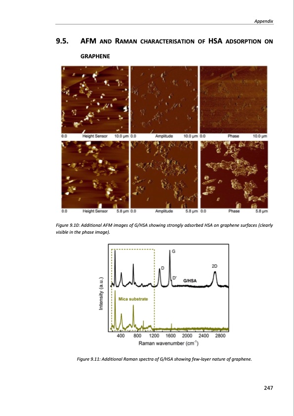 production-and-applications-graphene-and-its-composites-247