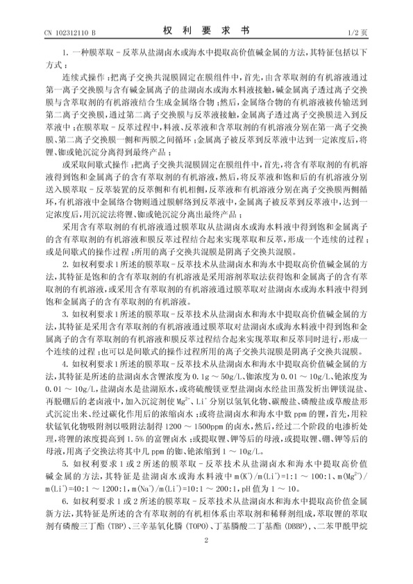 chinese-patent-01-002