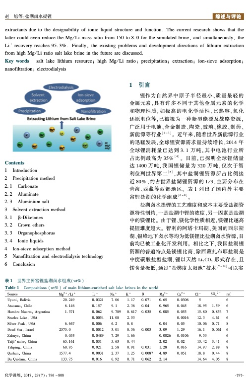 extraction-lithium-from-salt-lake-brine-002