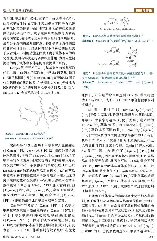 extraction-lithium-from-salt-lake-brine-008