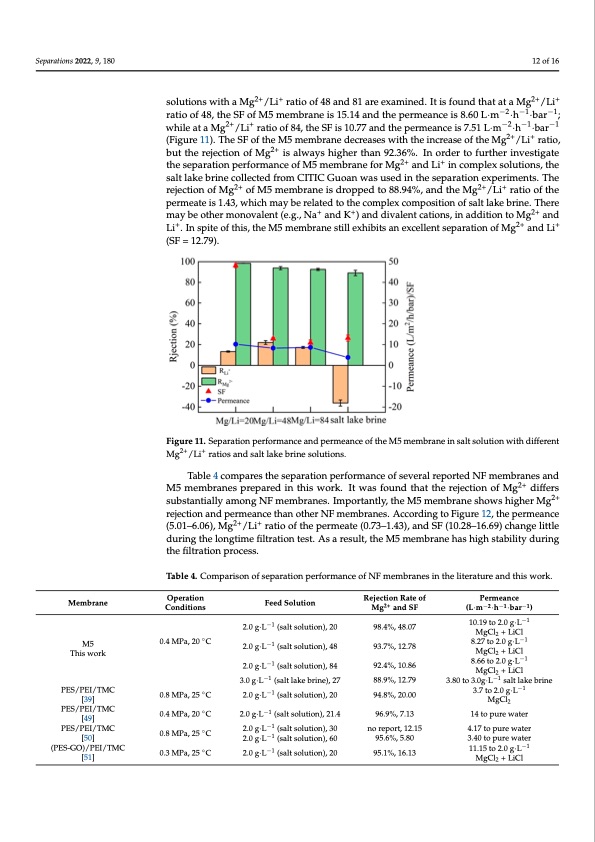 nanofiltration-membrane-using-polydopamine-carbon-nitride-012