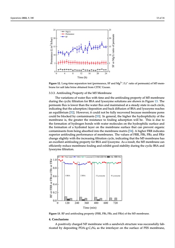 nanofiltration-membrane-using-polydopamine-carbon-nitride-013