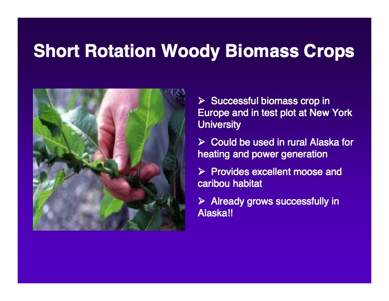 biomass-power-generation-using-utc-purecycle-technology-021