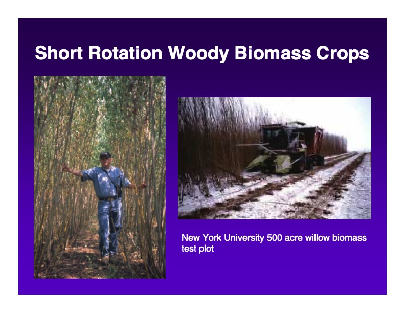 biomass-power-generation-using-utc-purecycle-technology-022