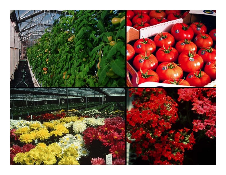 geothermal-applications-2009-011