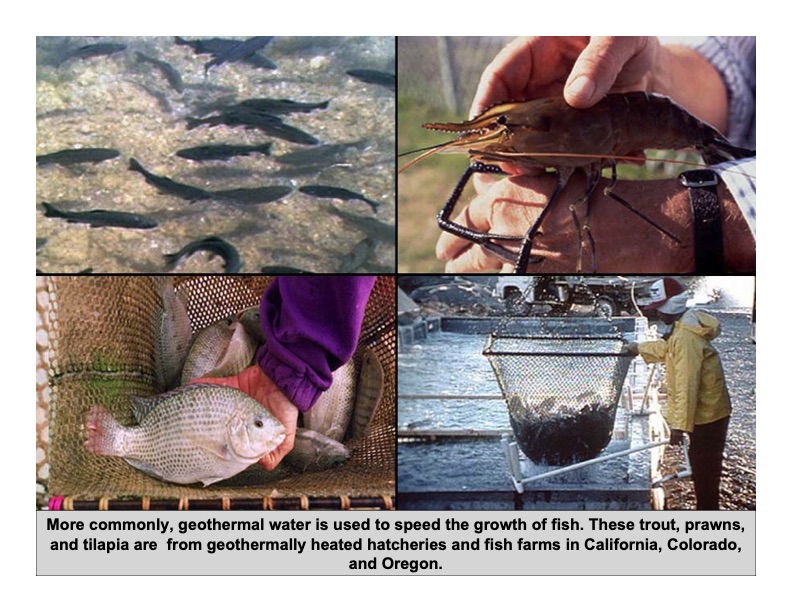 geothermal-applications-2009-013