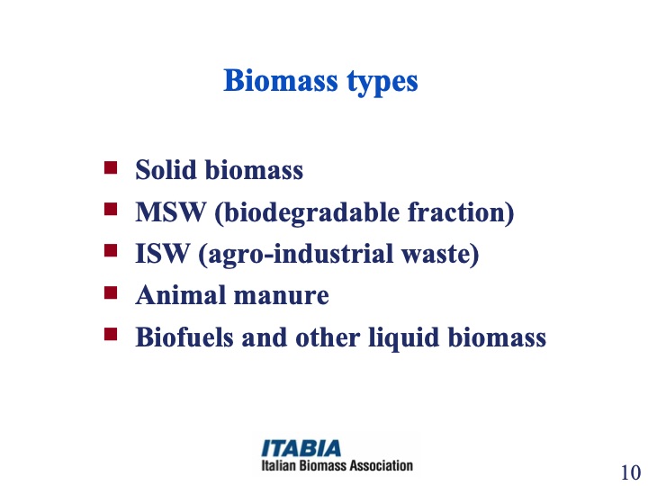 strategy-meeting-eu-target-bioenergy-production-and-consumpt-010