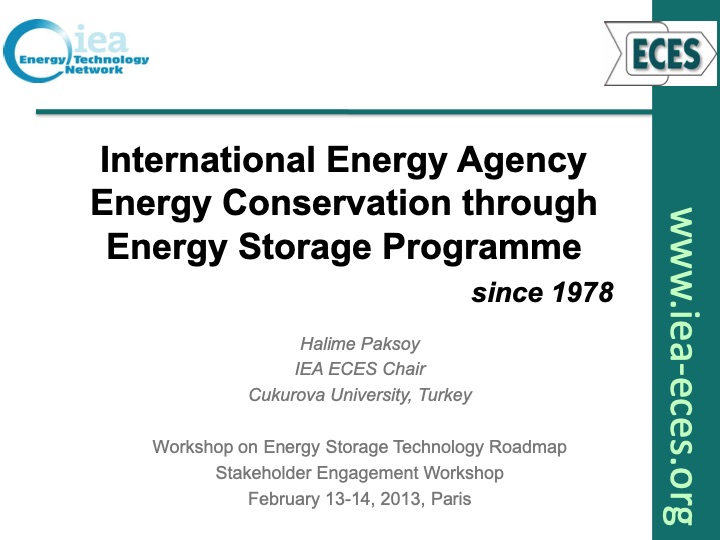 workshop-energy-storage-technology-roadmap-stakeholder-engag-001