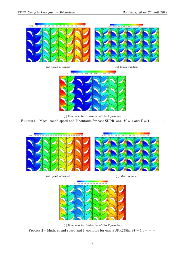 numerical-investigation-dense-gas-flows-through-transcritica-005