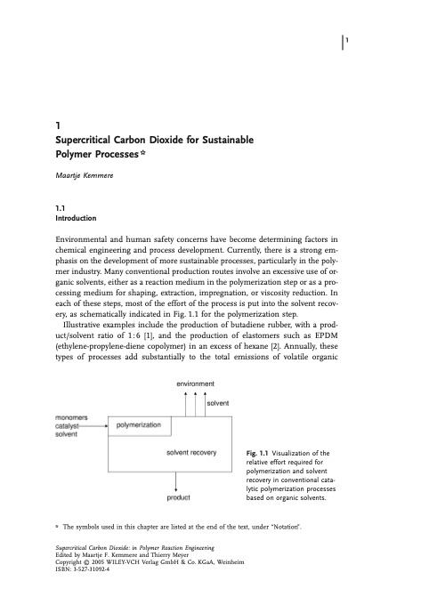 supercritical-carbon-dioxide-sustainable-polymer-processes-001