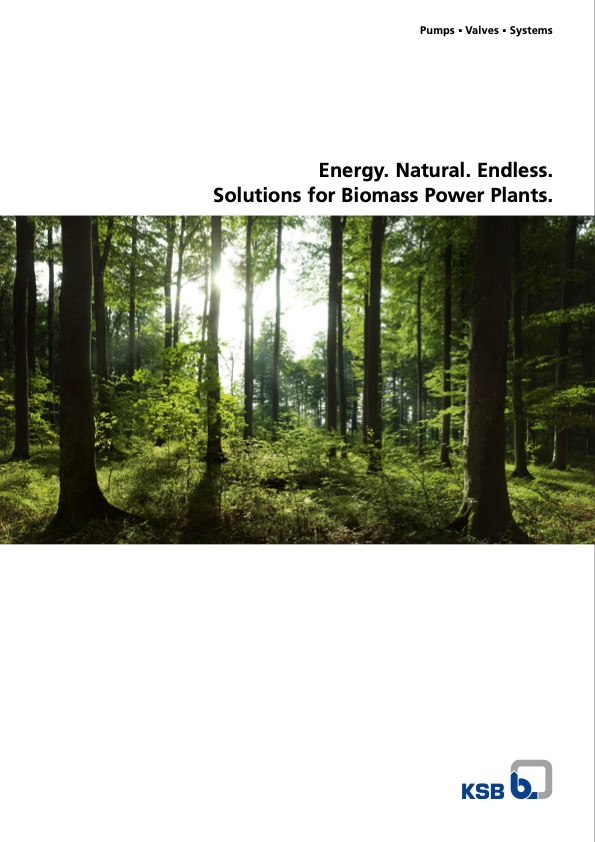 energy-natural-endless-solutions-biomass-power-plants-001