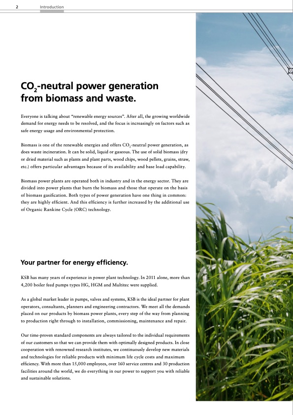 energy-natural-endless-solutions-biomass-power-plants-002