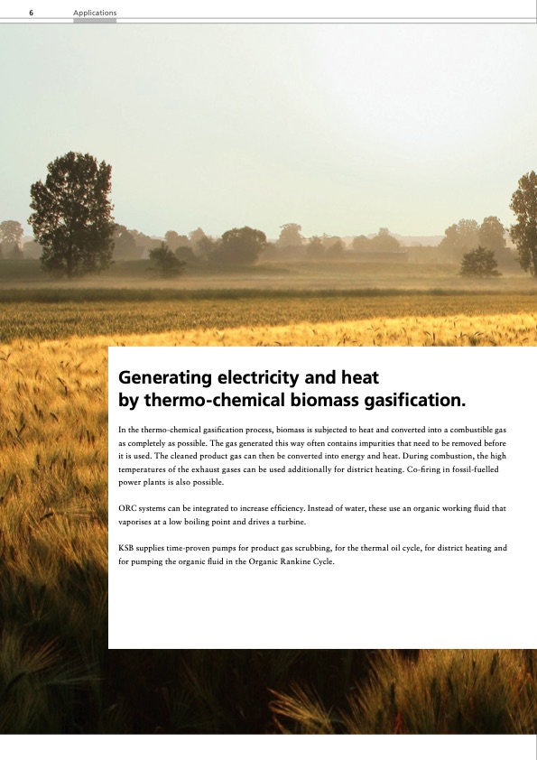 energy-natural-endless-solutions-biomass-power-plants-006