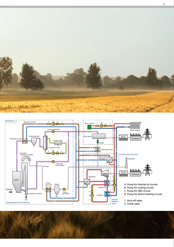 energy-natural-endless-solutions-biomass-power-plants-007