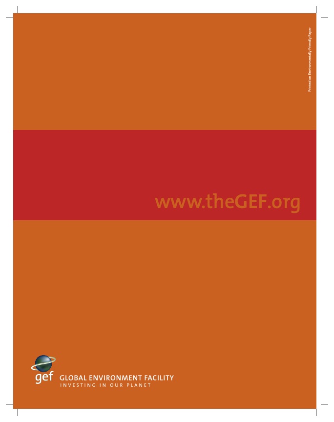 investing-in-renewable-energygef-experience-036