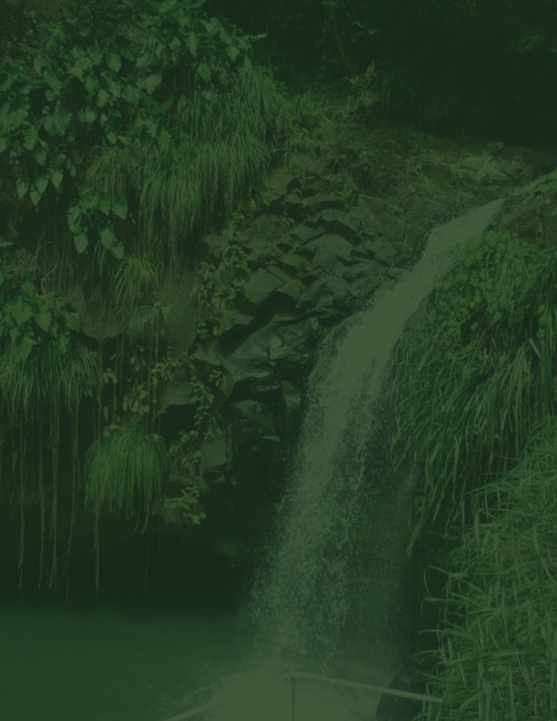 the-national-energy-policy-grenada-040