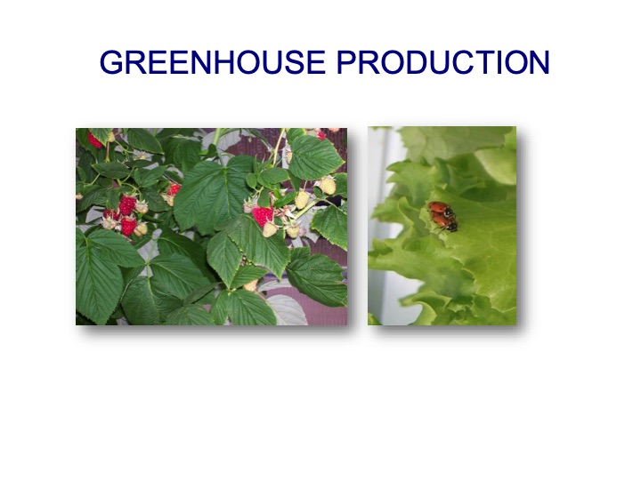 bernie-karl-presents-sustainable-is-attainable-023