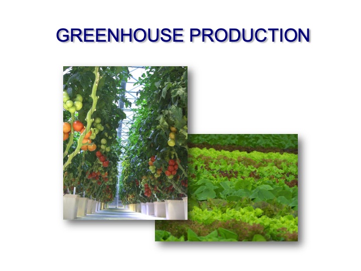 bernie-karl-presents-sustainable-is-attainable-024