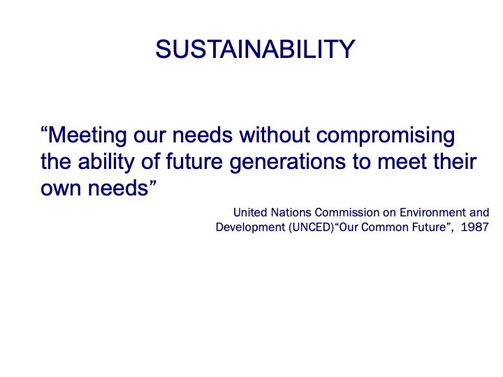 bernie-karl-presents-sustainable-is-attainable-077
