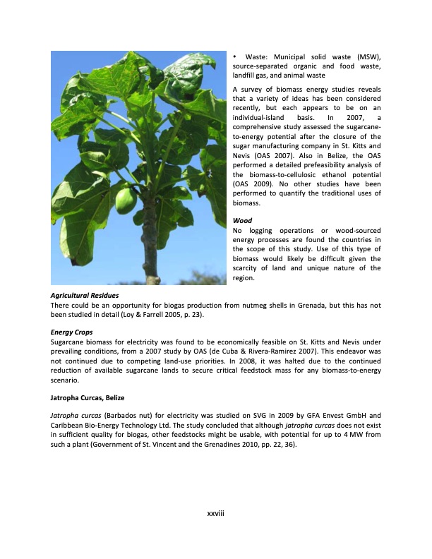 energy-policy-and-analysis-caribbean-033