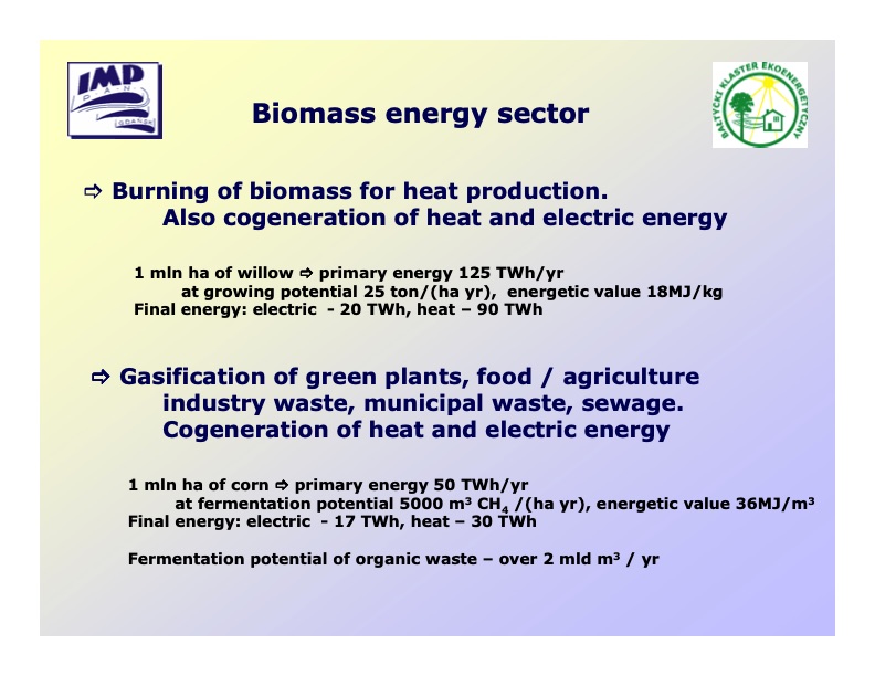 biomass-biogas-cogeneration-systems-003