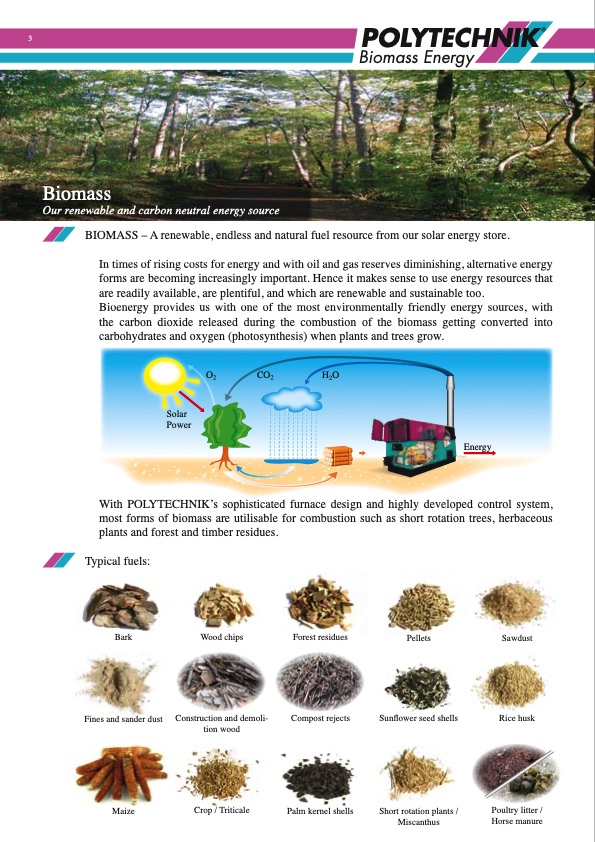 polytechnik-biomass-energy-003