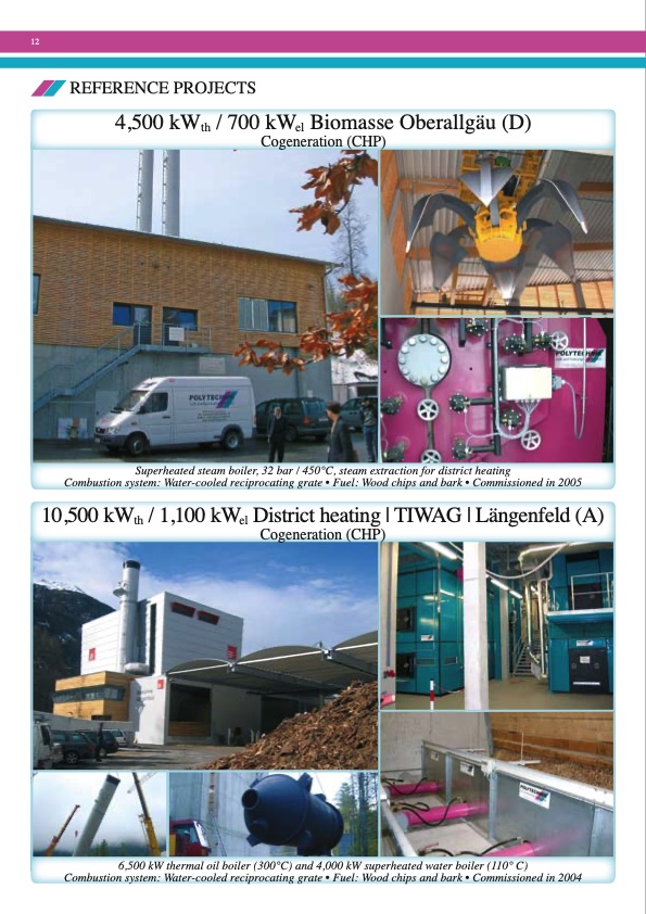 polytechnik-biomass-energy-012
