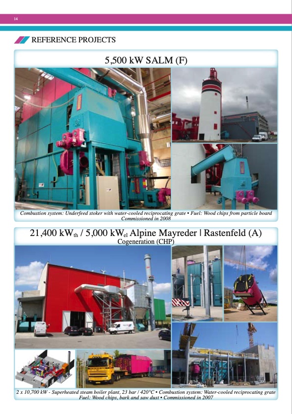 polytechnik-biomass-energy-014