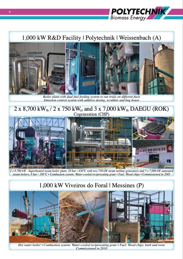 polytechnik-biomass-energy-021