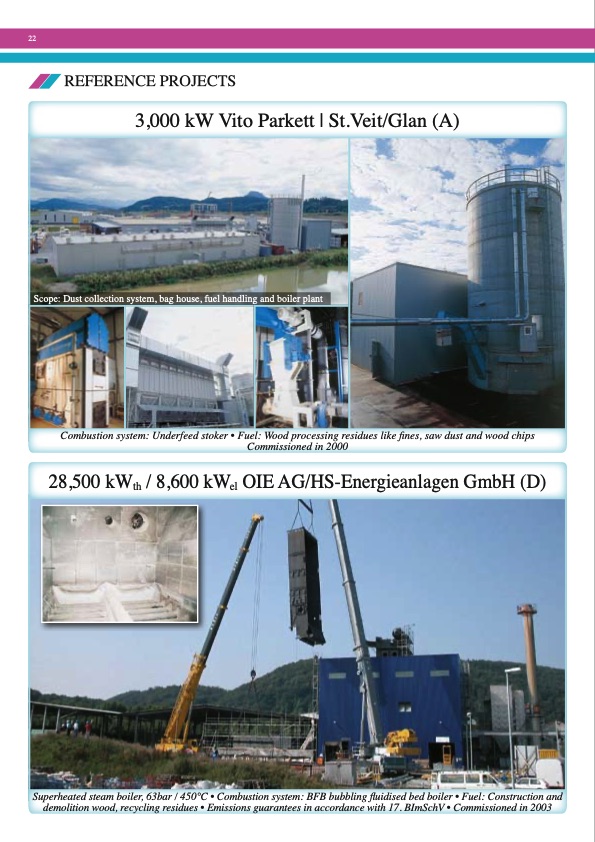 polytechnik-biomass-energy-022