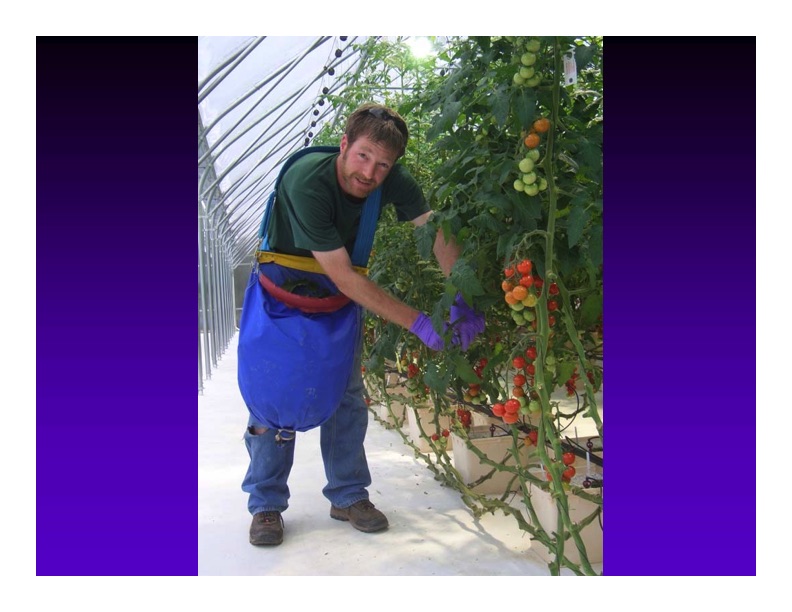 renewable-energy-and-waste-heat-utilization-greenhouse-use-029