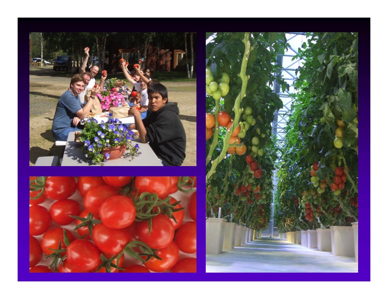 renewable-energy-and-waste-heat-utilization-greenhouse-use-030