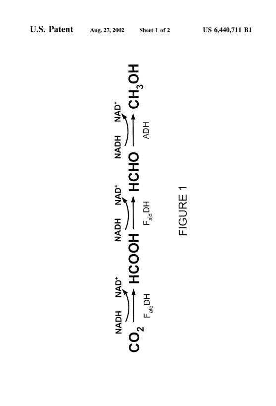 dehydrogenase-enzymatic-synthesis-methanol-002