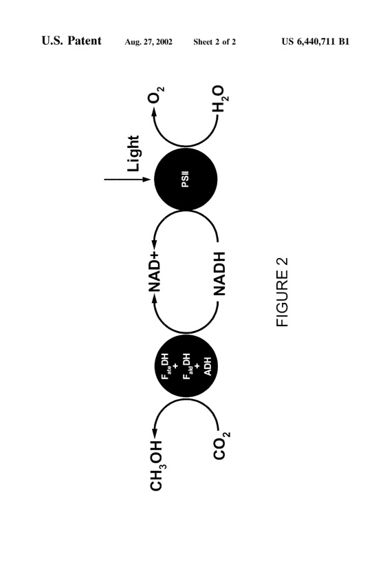 dehydrogenase-enzymatic-synthesis-methanol-003