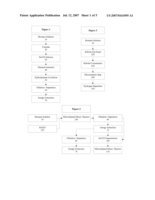 united-states-patent-application-publication-us2007-0161095a-002