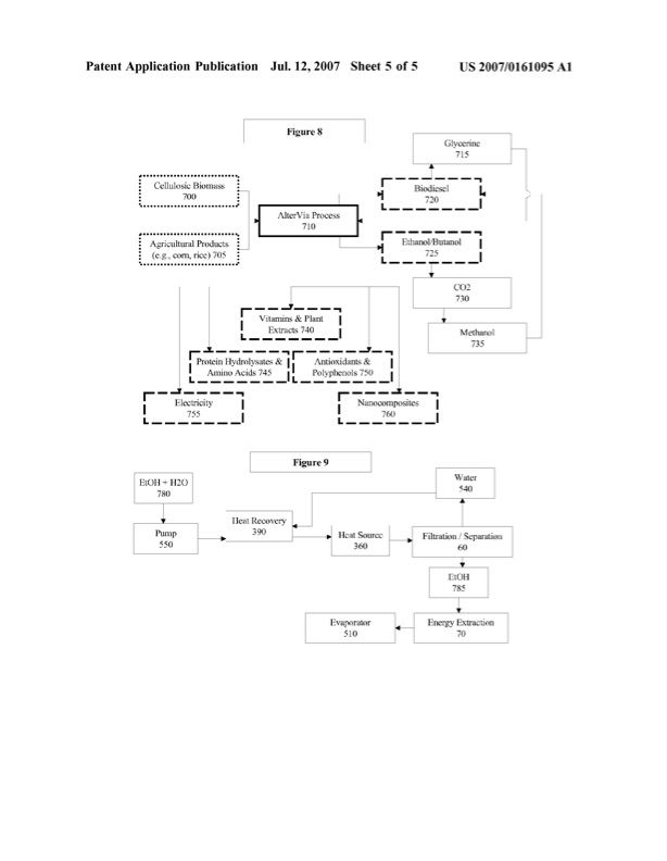 united-states-patent-application-publication-us2007-0161095a-006