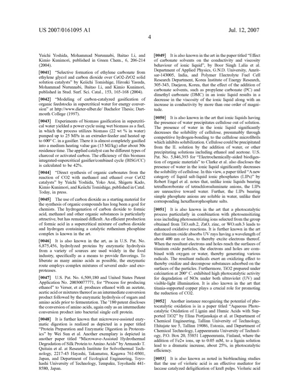 united-states-patent-application-publication-us2007-0161095a-010