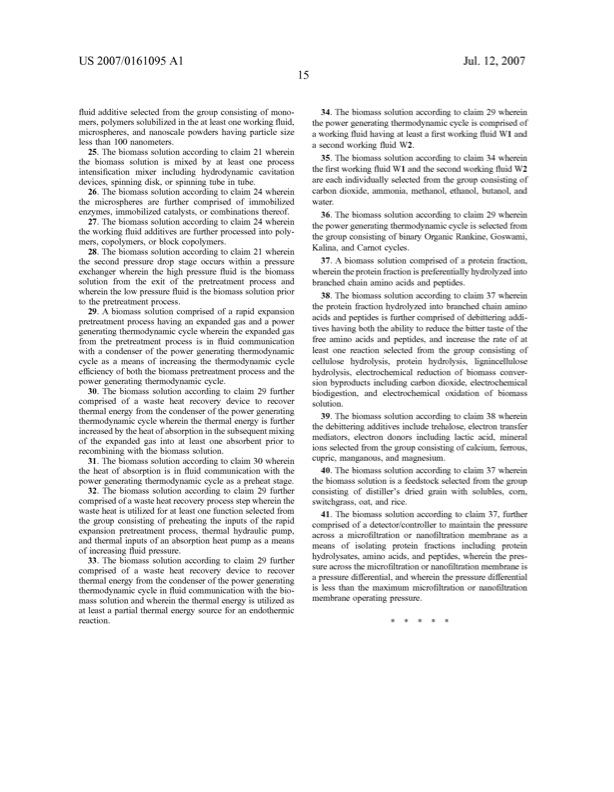 united-states-patent-application-publication-us2007-0161095a-021