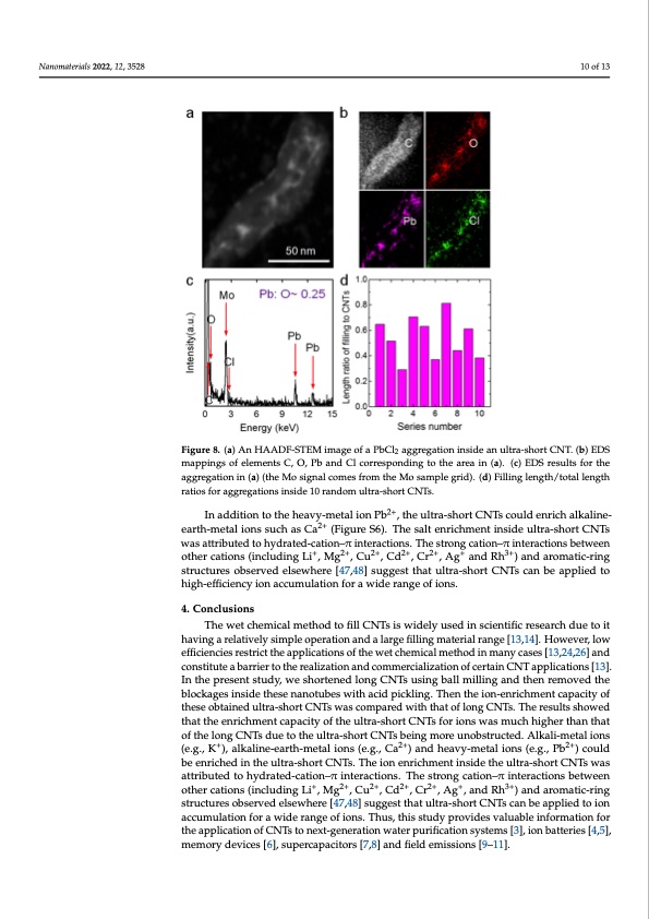 ion-enrichment-inside-ultra-short-carbon-nanotubes-010